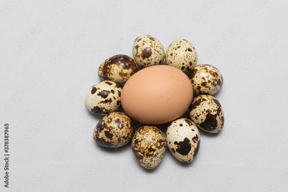 chicken eggs on the table. Farm products, natural eggs. chicken eggs on the table. Farm products, natural eggs.