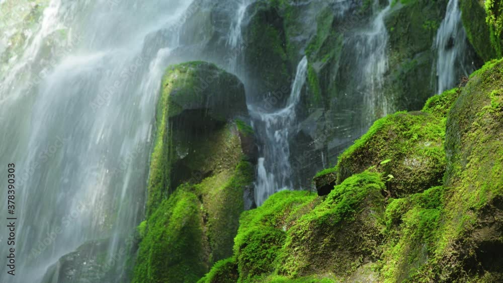 Low angle, Ramona Falls over mossy rocks in Oregon