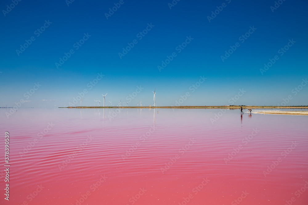 Fototapeta premium Beautiful pink lakes with salt water for treatment.