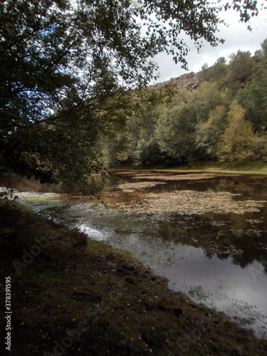 The forest of Paimpont, considered to be the mythical forest of Brocéliande. View of the lake of the forest.