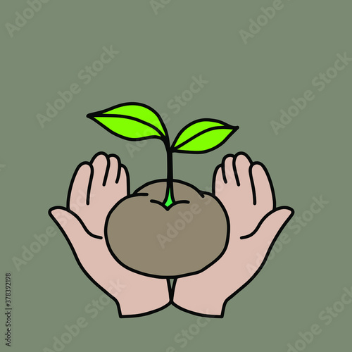 hand holding a green plant