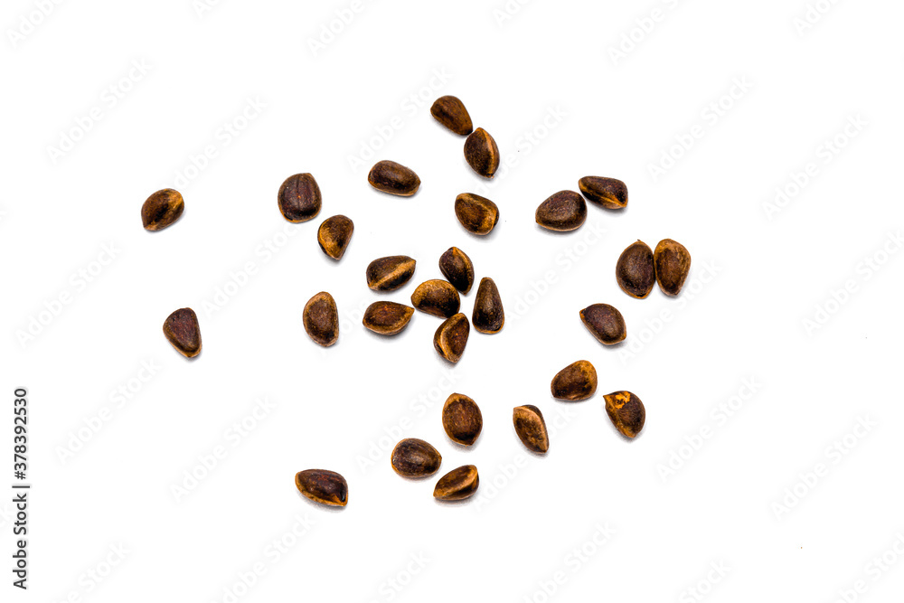 Pine nuts on a white background Pine nuts on a white background