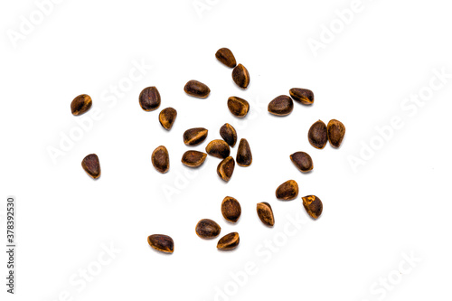 Pine nuts on a white background
