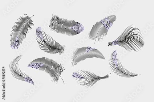 Vector black feathers collection set on a white background.
