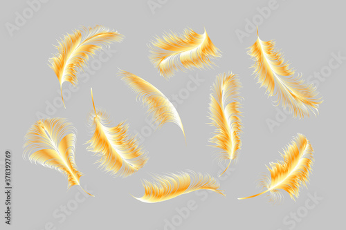 Vecto gold feathers collection, set of different falling fluffy twirled feathers on a white background.