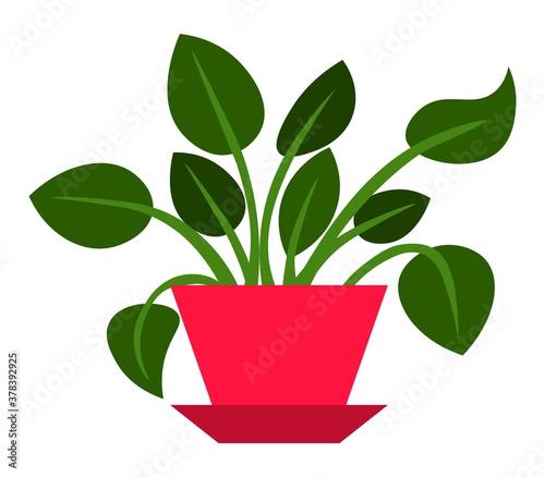 Vector illustration flower, plant growing in a pot. Potted plant icon. Indoor plant in a pot isolated on white background. Seedling icon