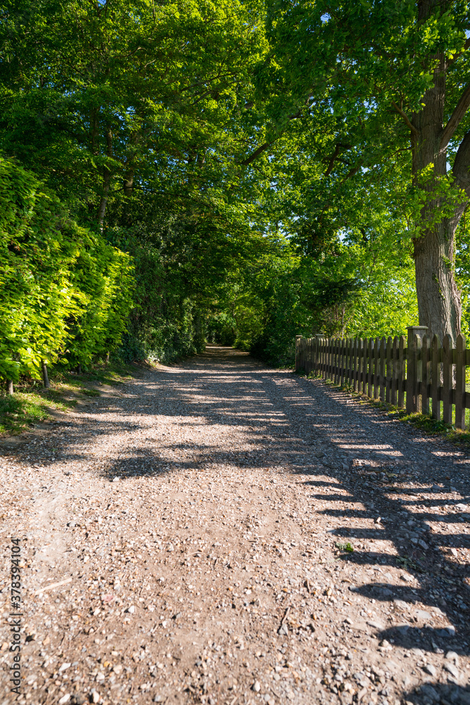 Fototapeta premium Beautiful Empty Path in the Park