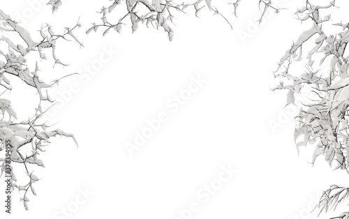 Twigs tree covered snow on a white background with space for text