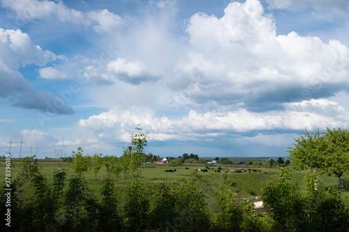 Beautiful storm clouds over a green field.