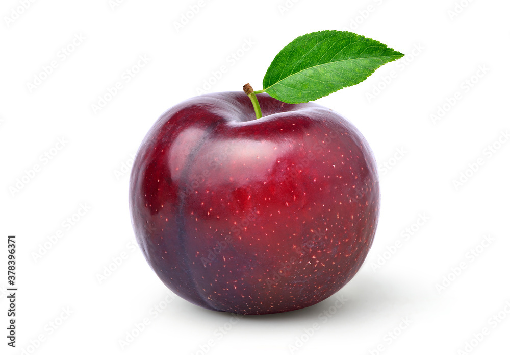 Juicy red Plum fruits with green leaf isolated on white background. Clipping path. Juicy red Plum fruits with green leaf isolated on white background. Clipping path.