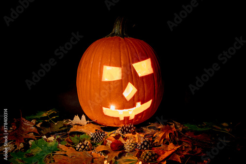 illuminated jack o'lantern pumpkin with a many autumn leaves and pine cones on a black background