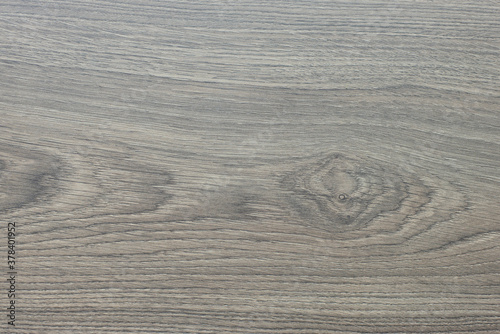 Wood pattern and texture, natural color photo