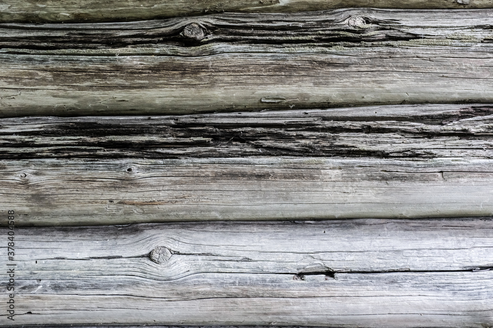 Wooden wall made from big natural logs. Wooden wall made from big natural logs.