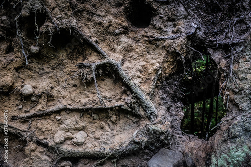 Savage wall from soil, roots, wood and dirt with small window made by nature