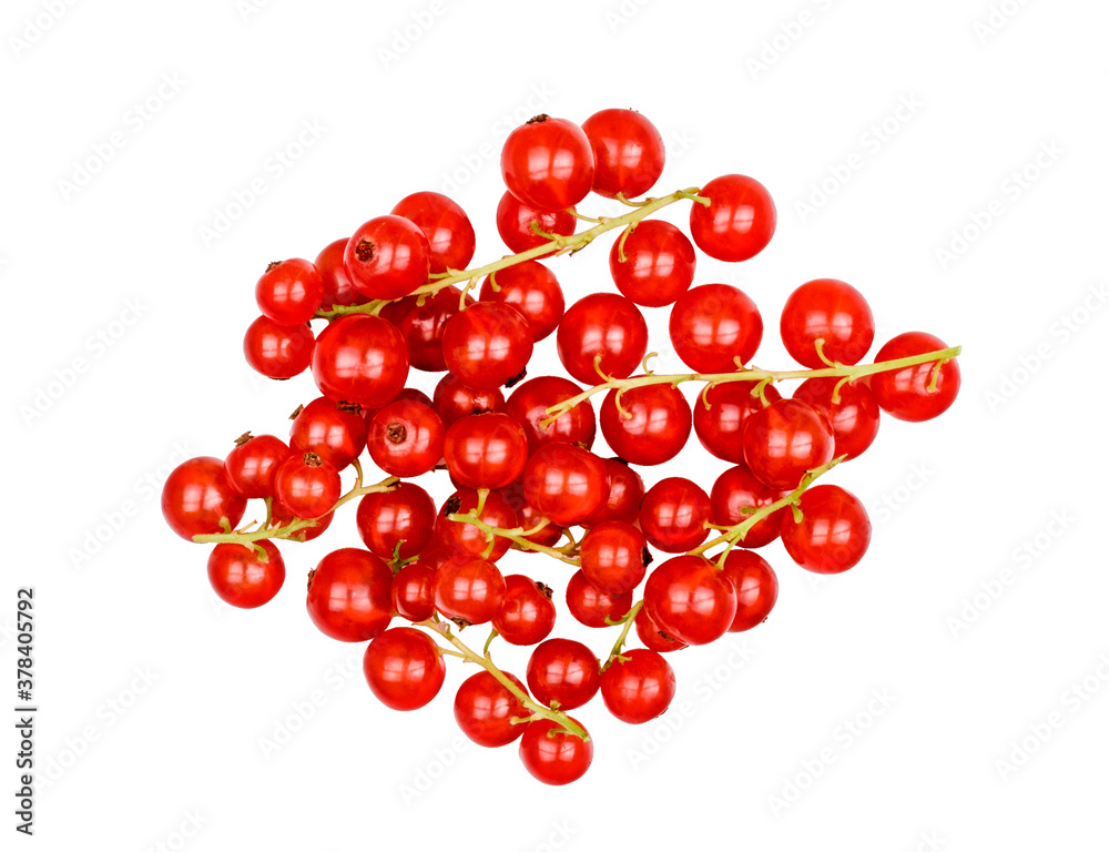 Currant berries isolated on white background Currant berries isolated on white background