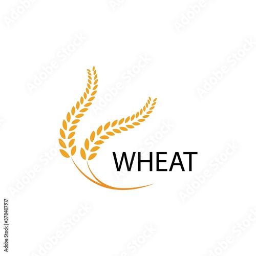 Agriculture wheat Logo