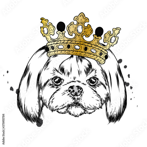 Beautiful puppy in the crown. A pedigree dog in clothes and accessories. Vector illustration. Hipster dog.