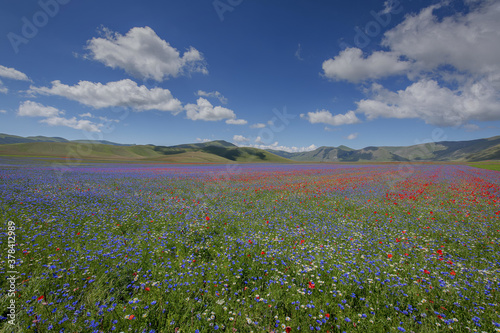 Castelluccio of norcia photo