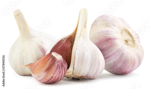 Whole garlic and clove on a white background. Isolated