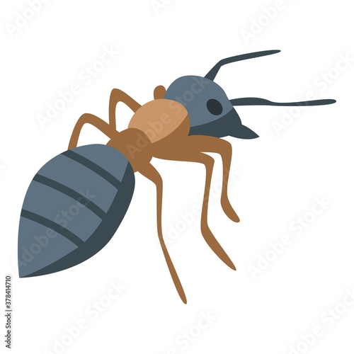 Colony ant icon. Isometric of colony ant vector icon for web design isolated on white background