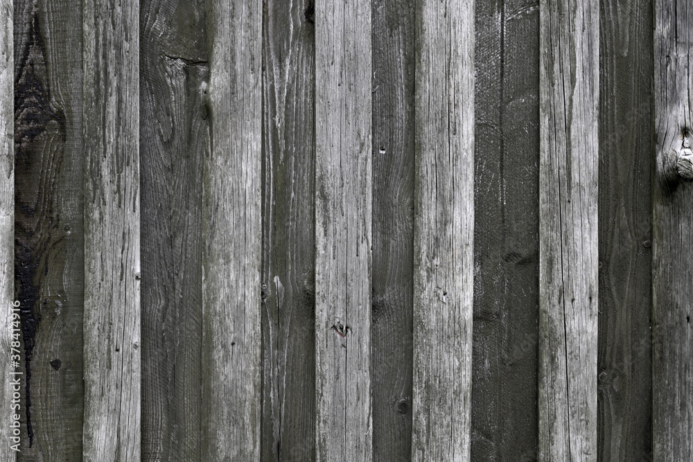 Fototapeta premium grey weathered plank wall background