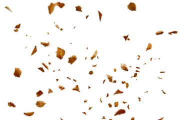 Dry autumn falling leaves on white background