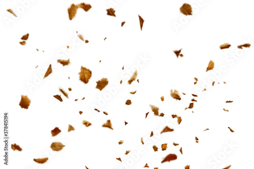 Dry autumn falling leaves on white background