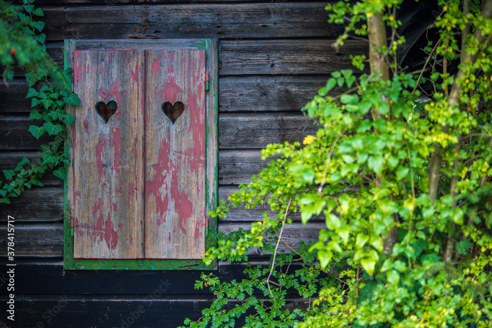 wooden door with heart and ivy