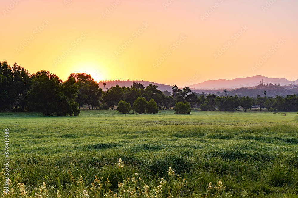 Naklejka premium Meadow at Lindo Lake Park