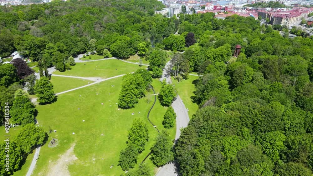 Drone Ascending Through The Lush Green Park Landscapes In Slottskogen, Gothenburg, Sweden - Drone Shot Drone Ascending Through The Lush Green Park Landscapes In Slottskogen, Gothenburg, Sweden - Drone Shot