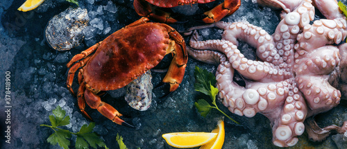 close-up view of gourmet crabs and oysters with ice on grey surface 