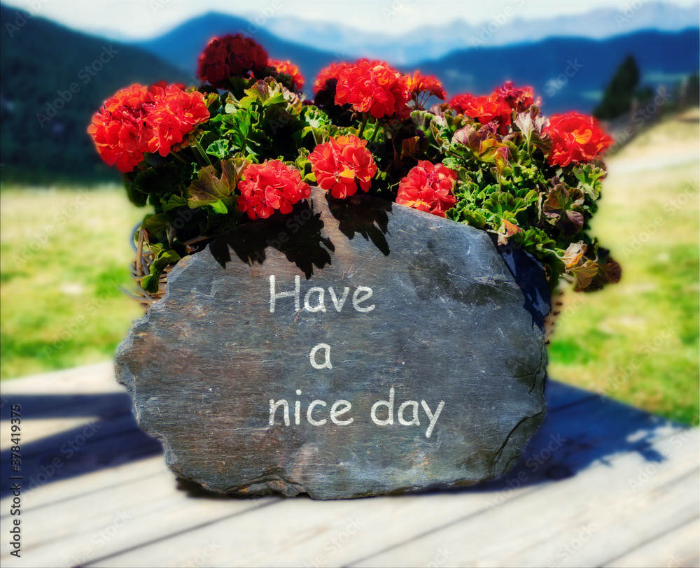 Have a nice day