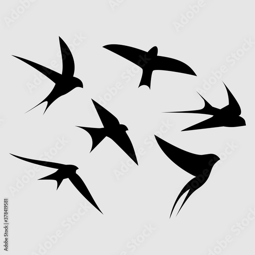 SWALLOW DESIGN LOGO ICON VECTOR