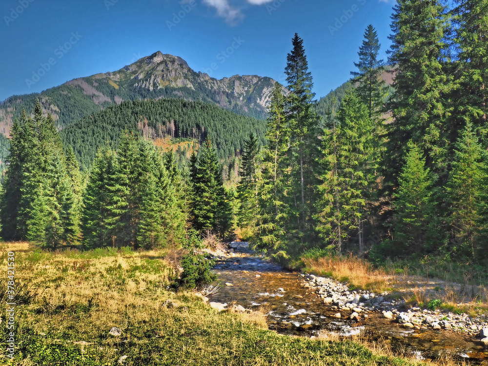 Obraz premium Mountain landscape