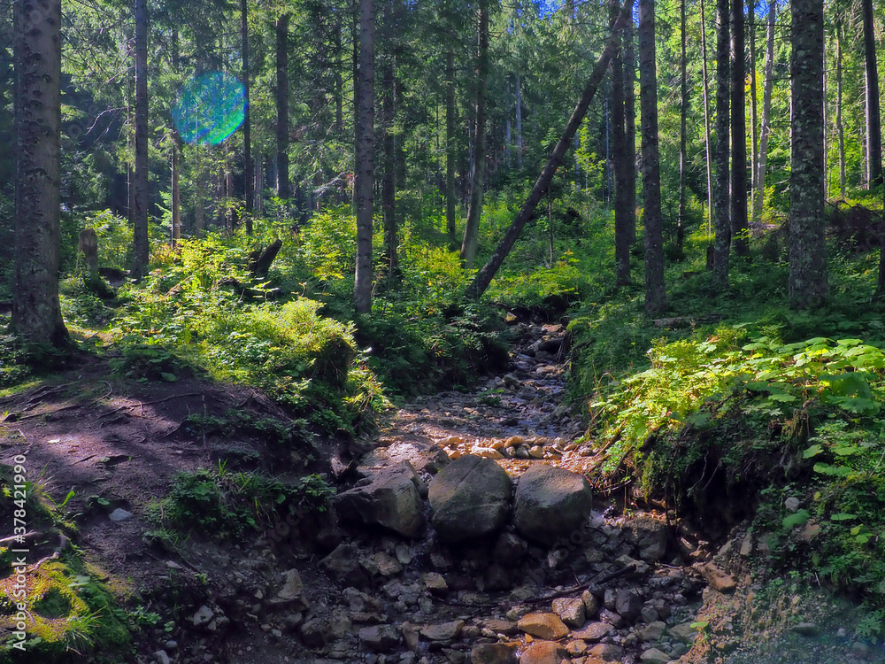 Obraz premium Scenic views of footpaths in Tatra mountains