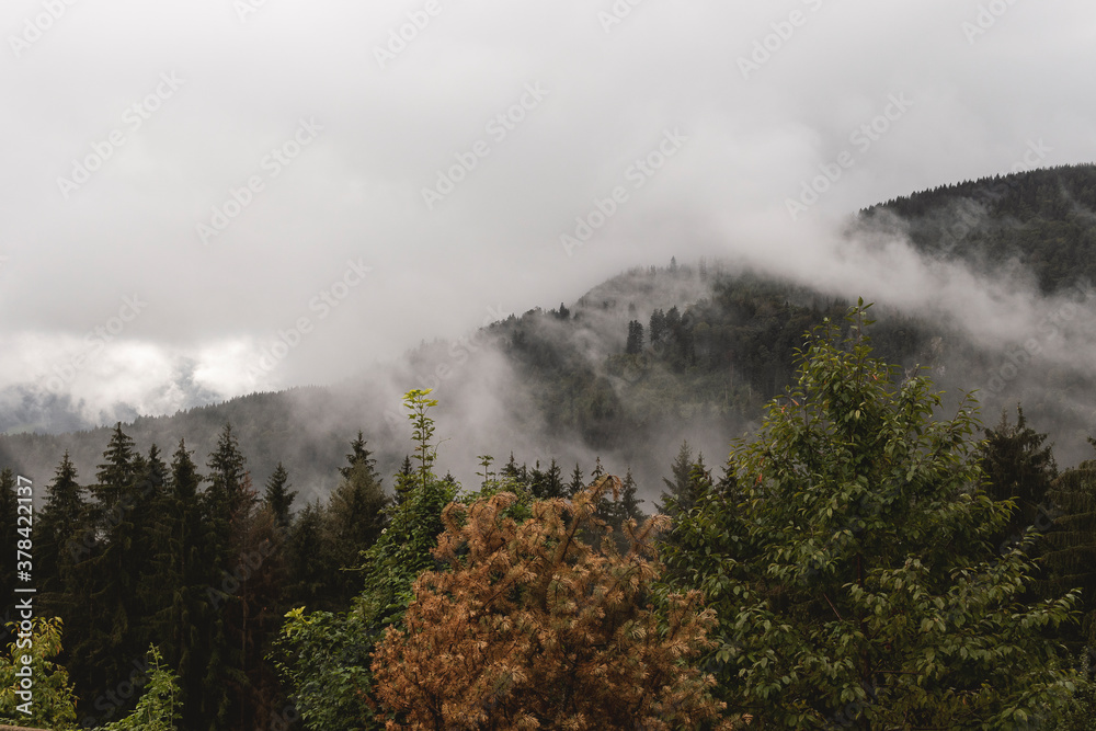 Epische Landschaft im Nebel mit Bergen im Herbst