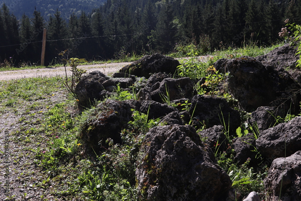 felsiger wegrand überwachsen mit gras