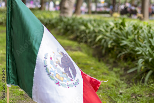 Bandera de México frente a edificios populares la ciudad de México photo