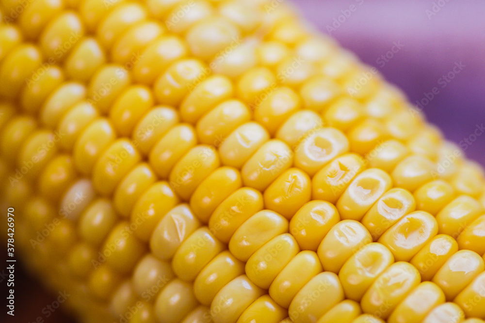 yellow corn stalk close up photo in wooden background