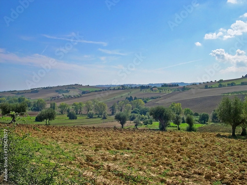 Italy, Marche, Apennines landscape near Recanati.