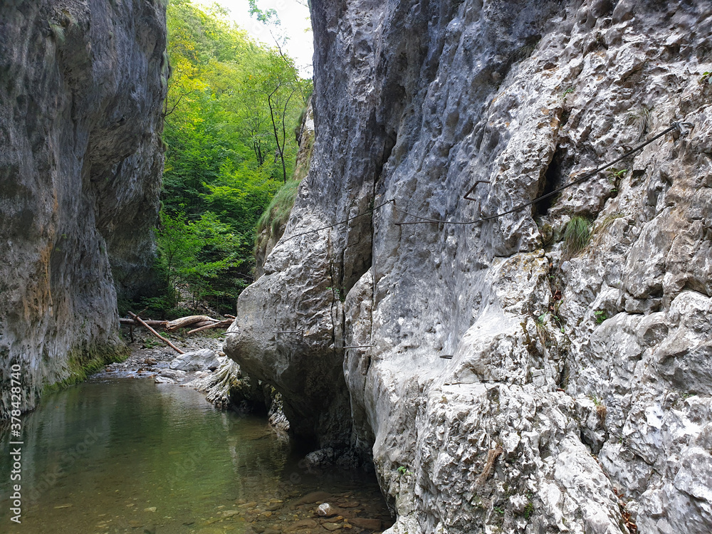 Obraz premium Stone pathway on rocky wall in Cheile Rametului