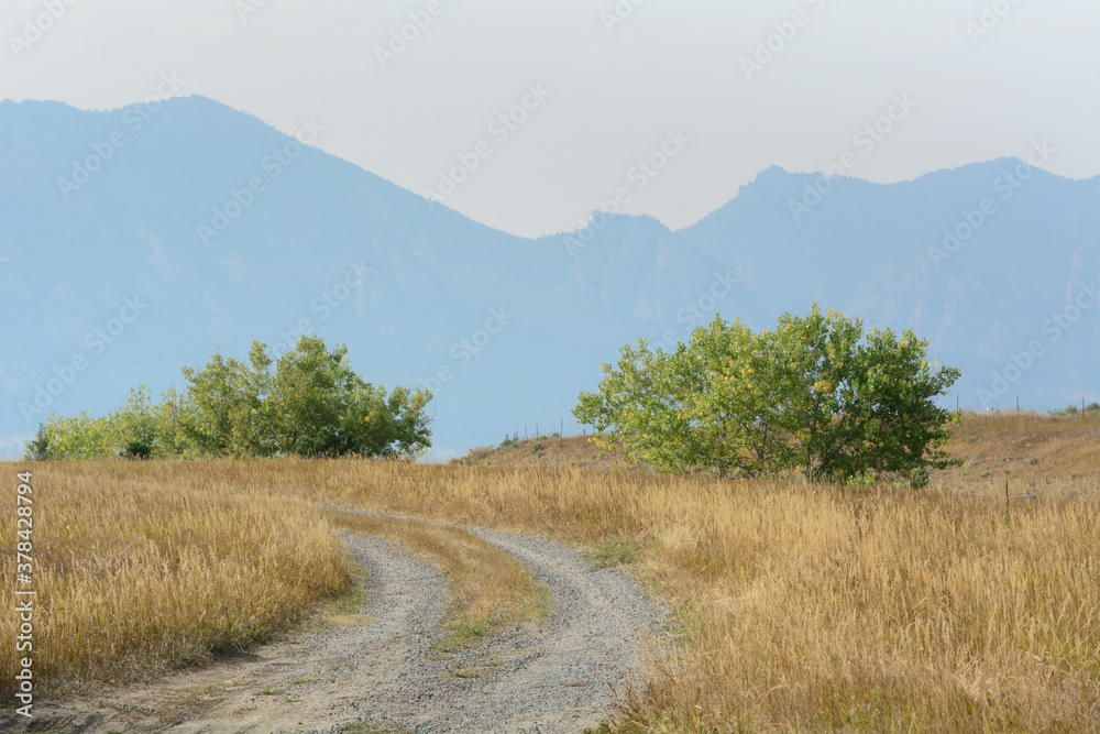 Dirt road through dry autumn prairie grass with outline of Rocky Mountains in the background