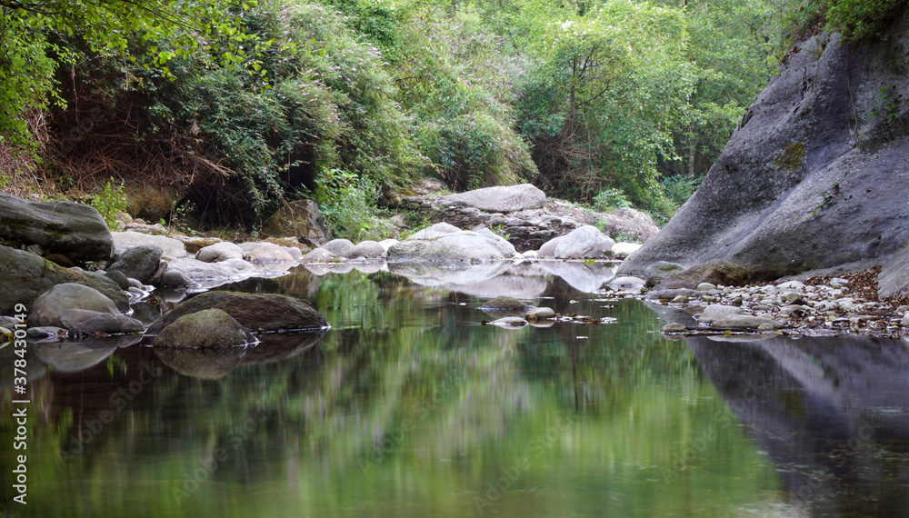 Fototapeta premium stream in the forest