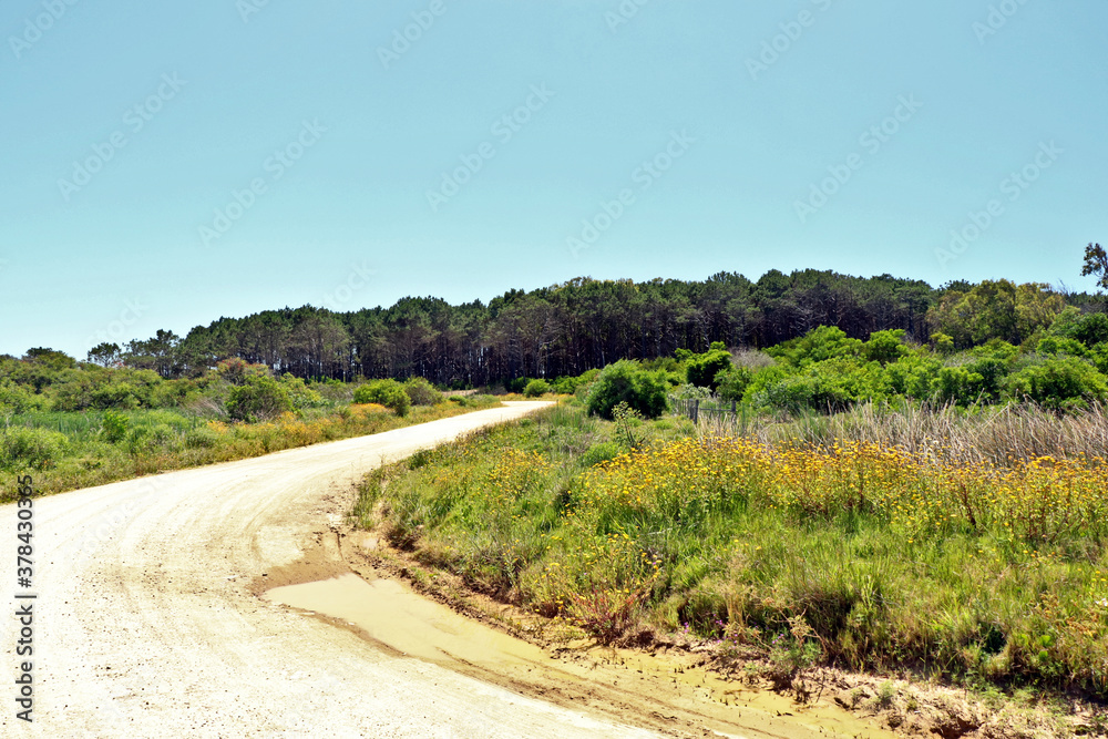 Dirt road is characteristic of environmental preservation areas