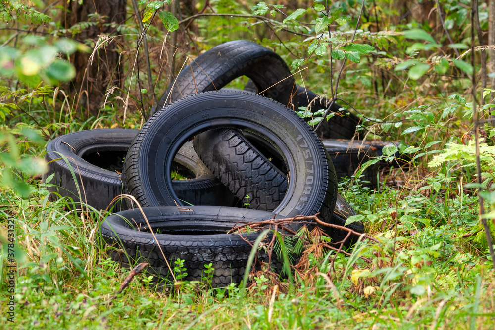 Fototapeta premium discarded car tires in the forest - illegal landfill, problem of nature pollution with consumer waste