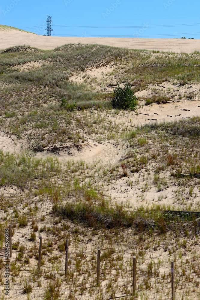 Sand dunes at Indiana Dunes National Park.