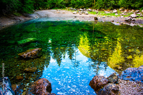 Fototapeta Naklejka Na Ścianę i Meble -  pines are reflected on a small alpine lake