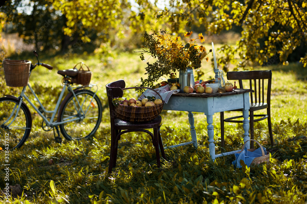 autumn  background.picnic in the autumn  garden.Basket with apples,vintage table,chairs,bike 