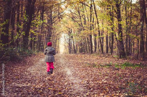 little child walking on fallen leaves in autumnal forest