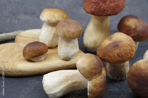 Boletus mushrooms prepared for cooking. Boletuson on a wooden tray. Boletus edulis. Closeup